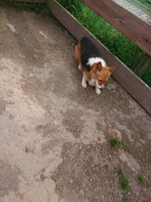 f:id:roukenhome-ann:20190414211521j:plain