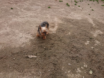 f:id:roukenhome-ann:20190414211533j:plain