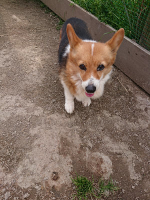 f:id:roukenhome-ann:20190414211606j:plain