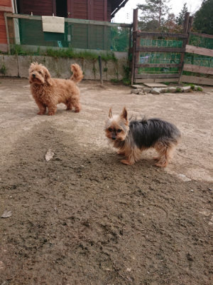 f:id:roukenhome-ann:20190414211614j:plain