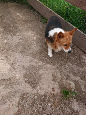 f:id:roukenhome-ann:20190414211640j:plain