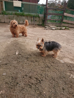 f:id:roukenhome-ann:20190414211646j:plain