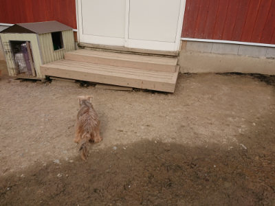 f:id:roukenhome-ann:20190414211653j:plain