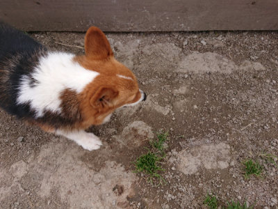 f:id:roukenhome-ann:20190414211737j:plain