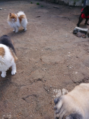 f:id:roukenhome-ann:20190415180754j:plain