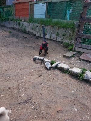f:id:roukenhome-ann:20190415180852j:plain