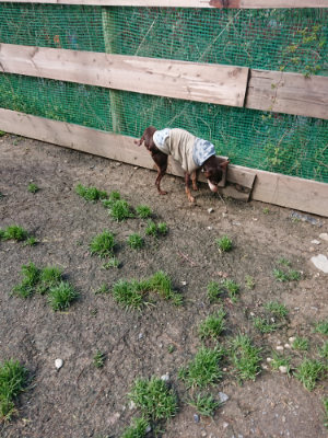 f:id:roukenhome-ann:20190415181124j:plain