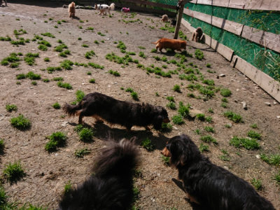 f:id:roukenhome-ann:20190415181140j:plain
