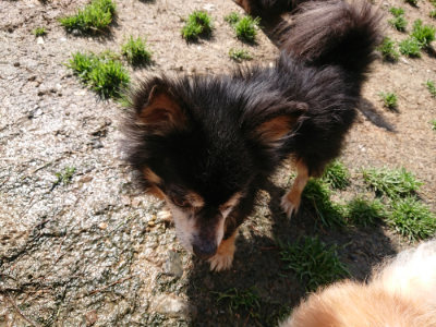 f:id:roukenhome-ann:20190415181225j:plain