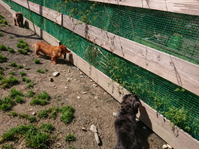 f:id:roukenhome-ann:20190415181233j:plain