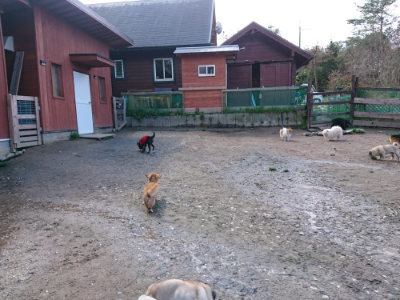 f:id:roukenhome-ann:20190415181313j:plain