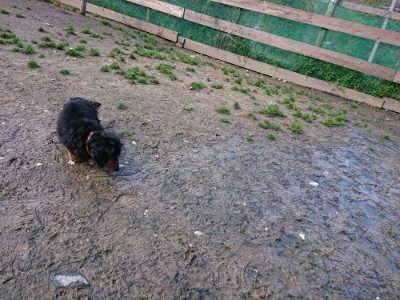 f:id:roukenhome-ann:20190415181538j:plain