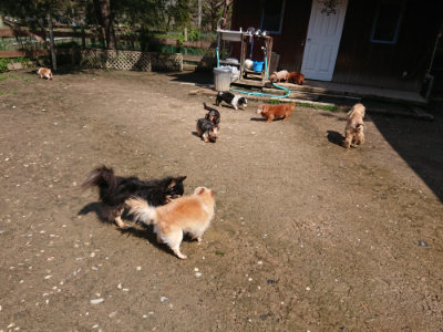 f:id:roukenhome-ann:20190415181601j:plain