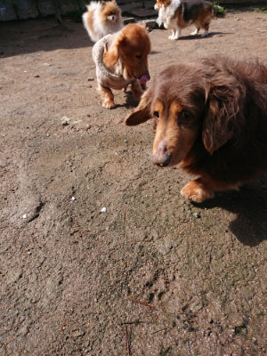 f:id:roukenhome-ann:20190415182009j:plain