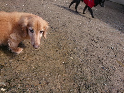 f:id:roukenhome-ann:20190415182018j:plain
