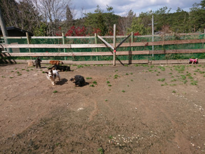 f:id:roukenhome-ann:20190415182115j:plain