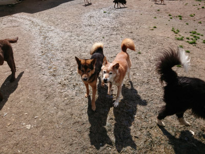 f:id:roukenhome-ann:20190415182124j:plain