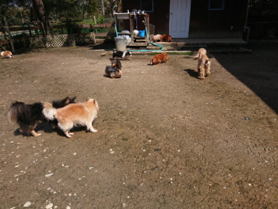 f:id:roukenhome-ann:20190415182136j:plain