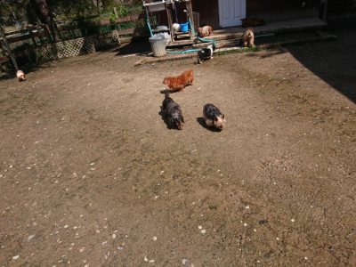 f:id:roukenhome-ann:20190415182143j:plain