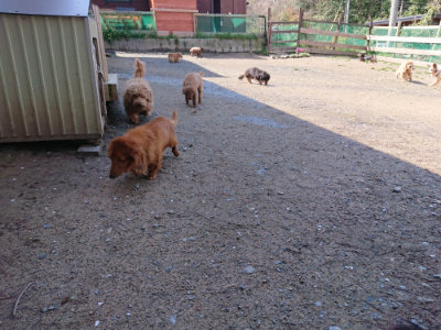 f:id:roukenhome-ann:20190415182208j:plain