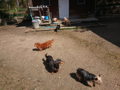 f:id:roukenhome-ann:20190415182226j:plain