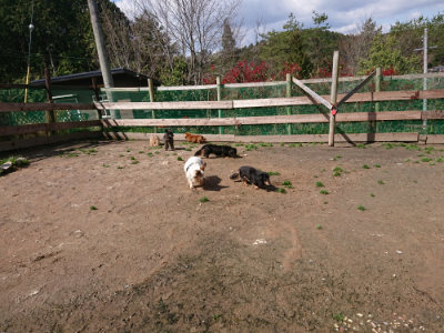 f:id:roukenhome-ann:20190415182258j:plain