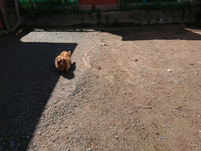 f:id:roukenhome-ann:20190415182330j:plain