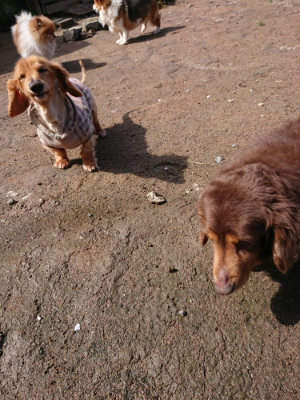 f:id:roukenhome-ann:20190415182351j:plain