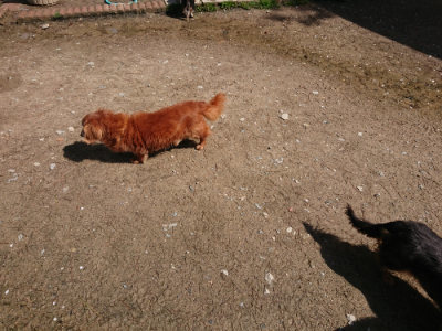 f:id:roukenhome-ann:20190415182357j:plain