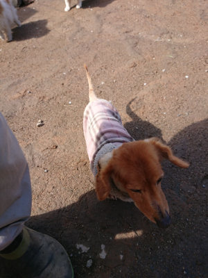 f:id:roukenhome-ann:20190415182412j:plain