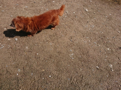 f:id:roukenhome-ann:20190415182437j:plain