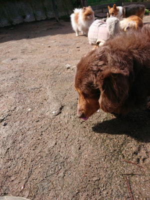 f:id:roukenhome-ann:20190415182448j:plain