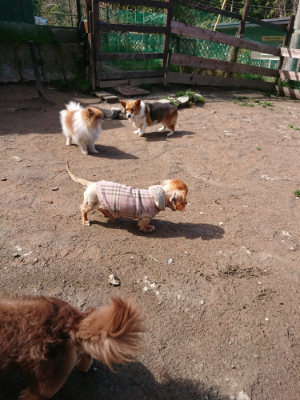 f:id:roukenhome-ann:20190415182518j:plain