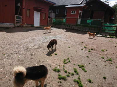 f:id:roukenhome-ann:20190415182542j:plain