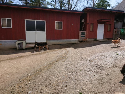 f:id:roukenhome-ann:20190415182746j:plain