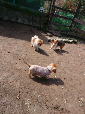 f:id:roukenhome-ann:20190415182757j:plain