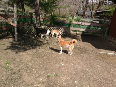 f:id:roukenhome-ann:20190415182822j:plain