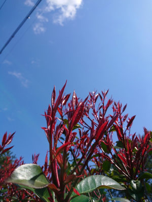 f:id:roukenhome-ann:20190415182938j:plain