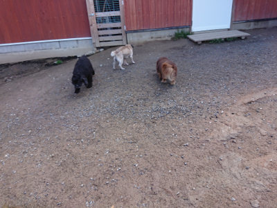 f:id:roukenhome-ann:20190415182957j:plain