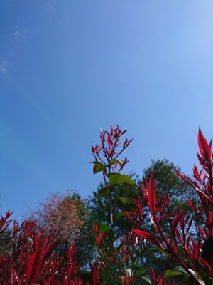 f:id:roukenhome-ann:20190415183023j:plain