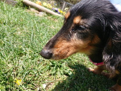 f:id:roukenhome-ann:20190415183356j:plain