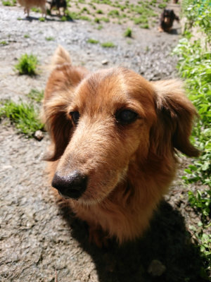 f:id:roukenhome-ann:20190415183530j:plain