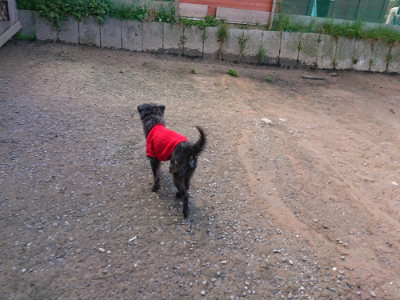 f:id:roukenhome-ann:20190415183547j:plain