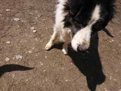f:id:roukenhome-ann:20190415183607j:plain