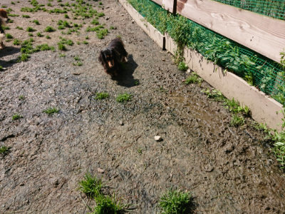 f:id:roukenhome-ann:20190415183640j:plain
