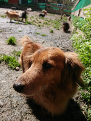 f:id:roukenhome-ann:20190415183705j:plain