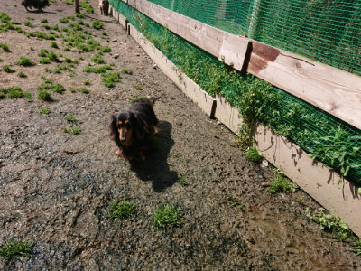 f:id:roukenhome-ann:20190415183712j:plain