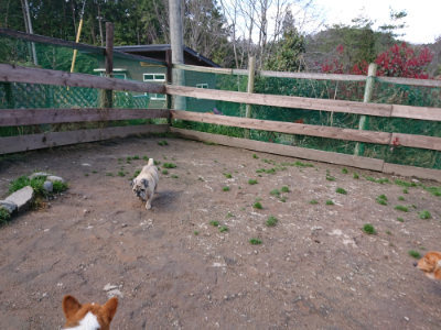 f:id:roukenhome-ann:20190415183738j:plain