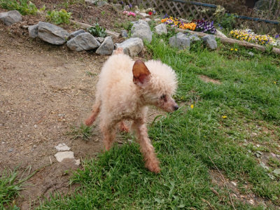 f:id:roukenhome-ann:20190415183757j:plain