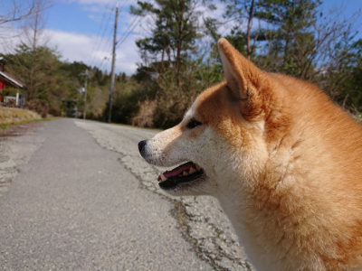 f:id:roukenhome-ann:20190415183924j:plain